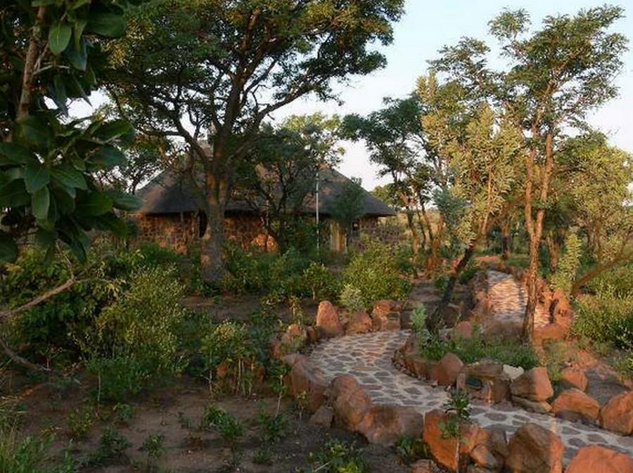 Abloom Bush Lodge & Spa Retreat Cullinan Eksteriør billede