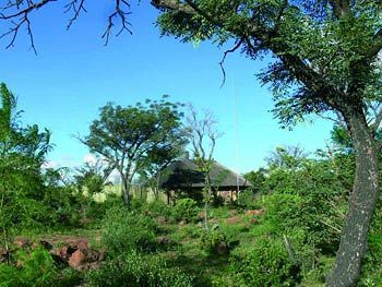 Abloom Bush Lodge & Spa Retreat Cullinan Eksteriør billede